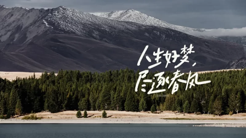 今日壁纸分享-酷酷的强